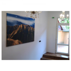 Tablou canvas